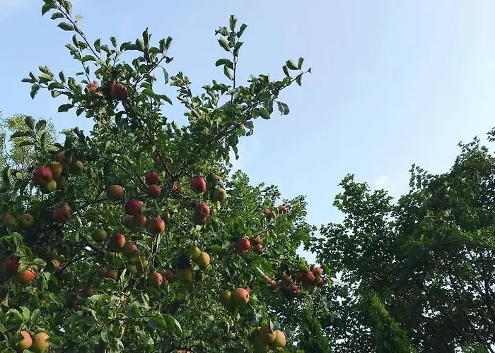 A.d.1894 Bed & Breakfast 3*